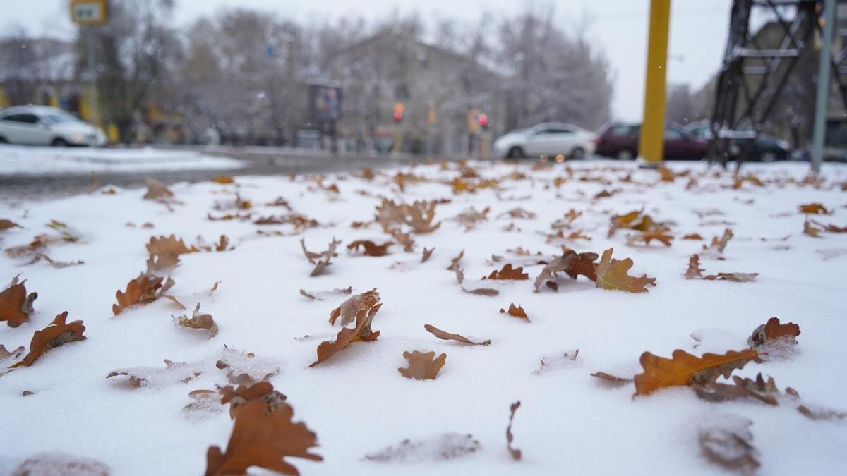    Снег лежит поверх листьев на дороге:NUR.KZ / Владимир Третьяков