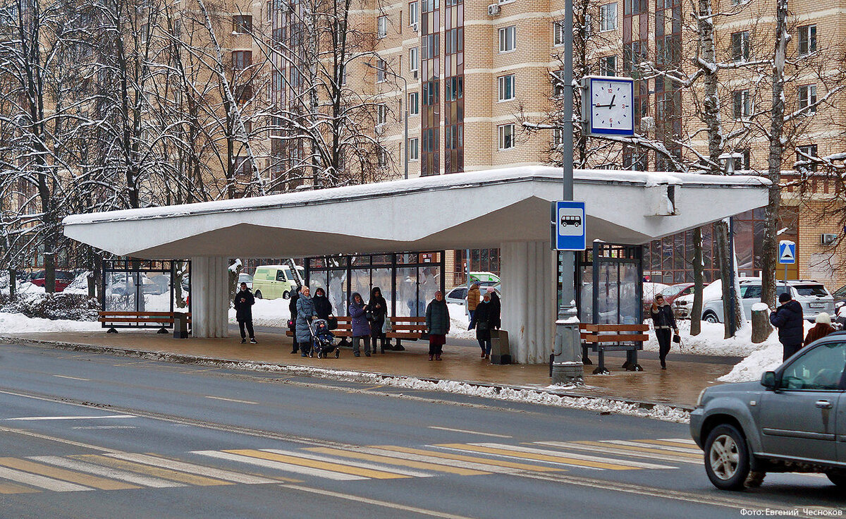 Город на память». 707. Зеленоград - округ Москвы на удалёнке | Город на  память | Дзен