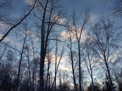 Фотография из личного архива автора