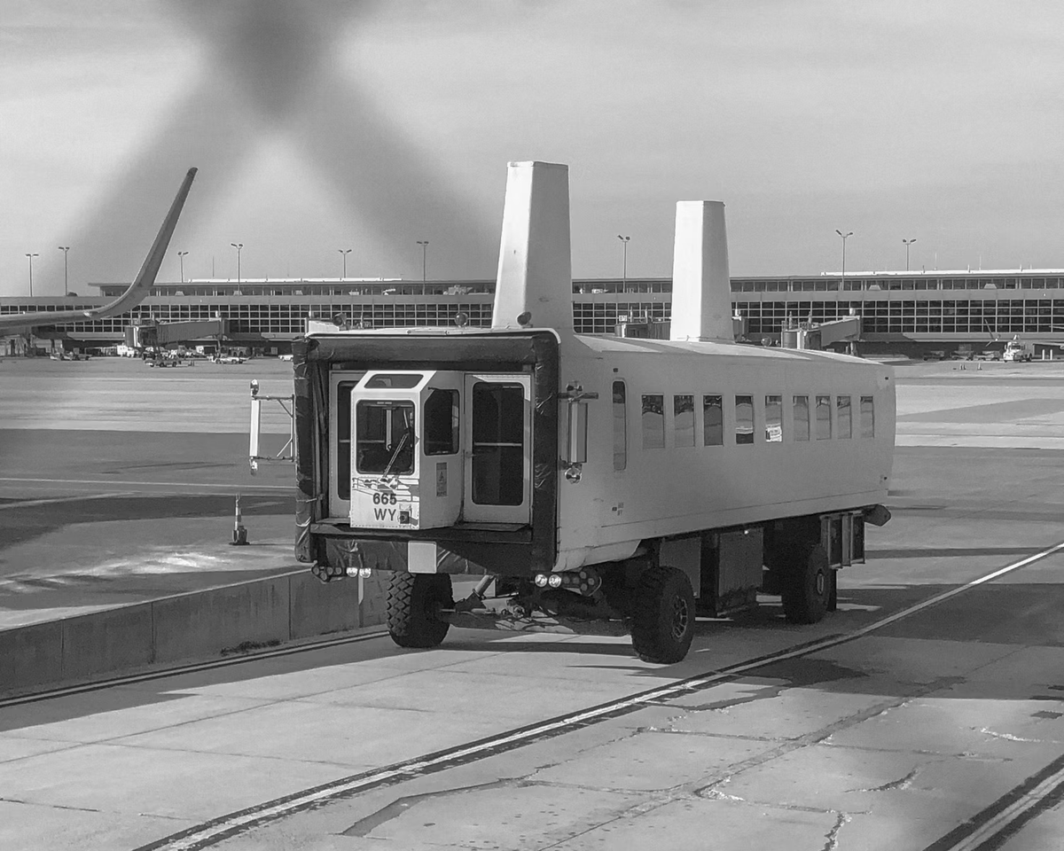 Фото: Glenn Beltz - Flickr