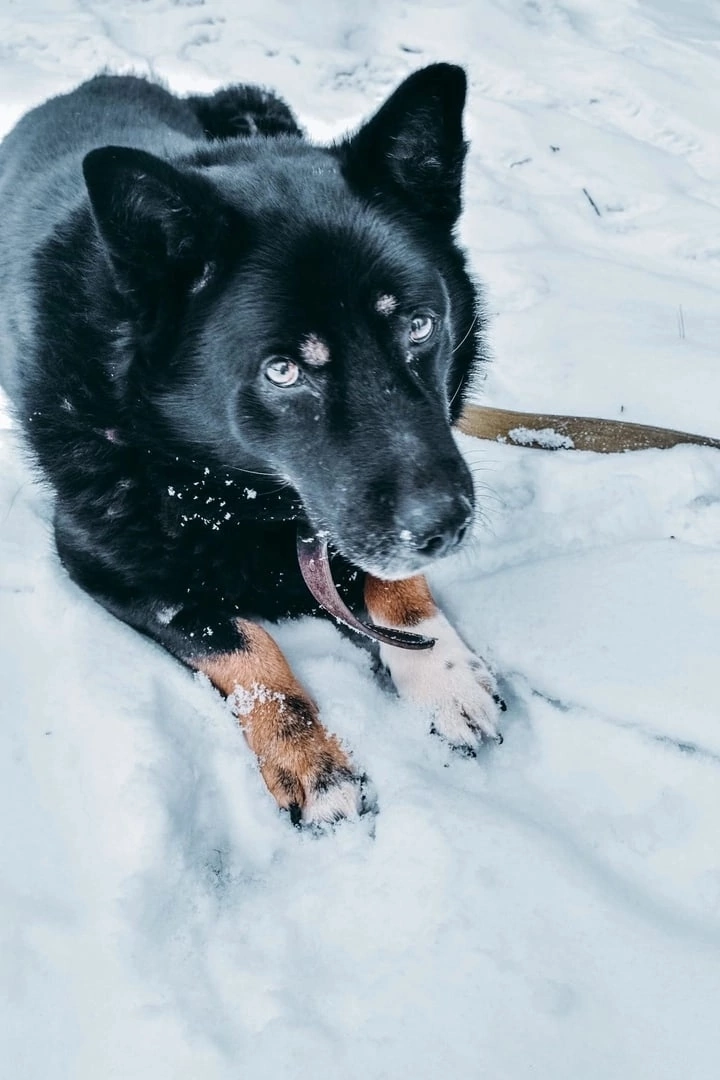 -2
