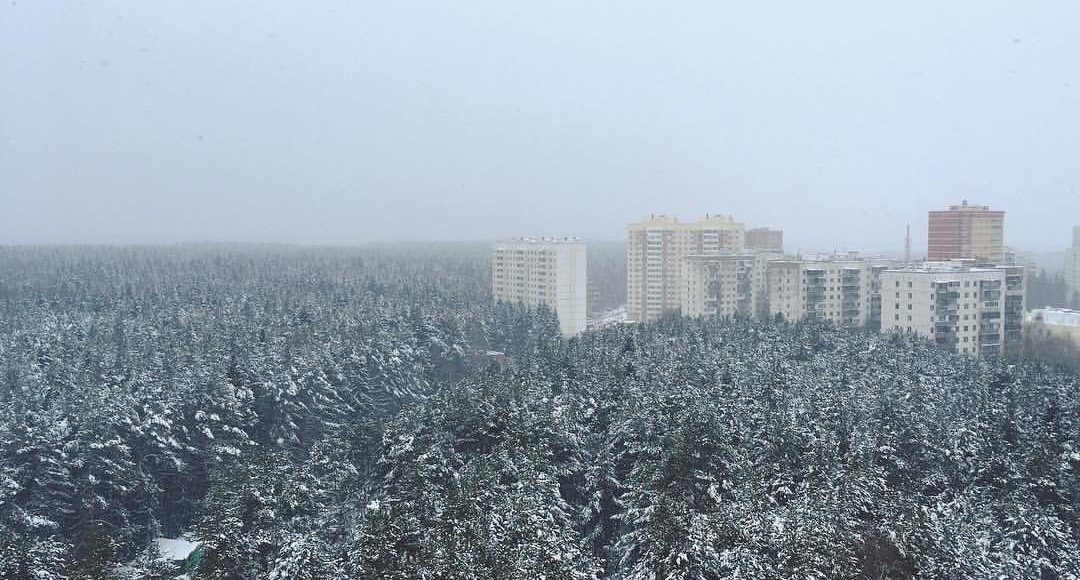    Фото: Инициативная группа «За сохранение Троицкого леса»