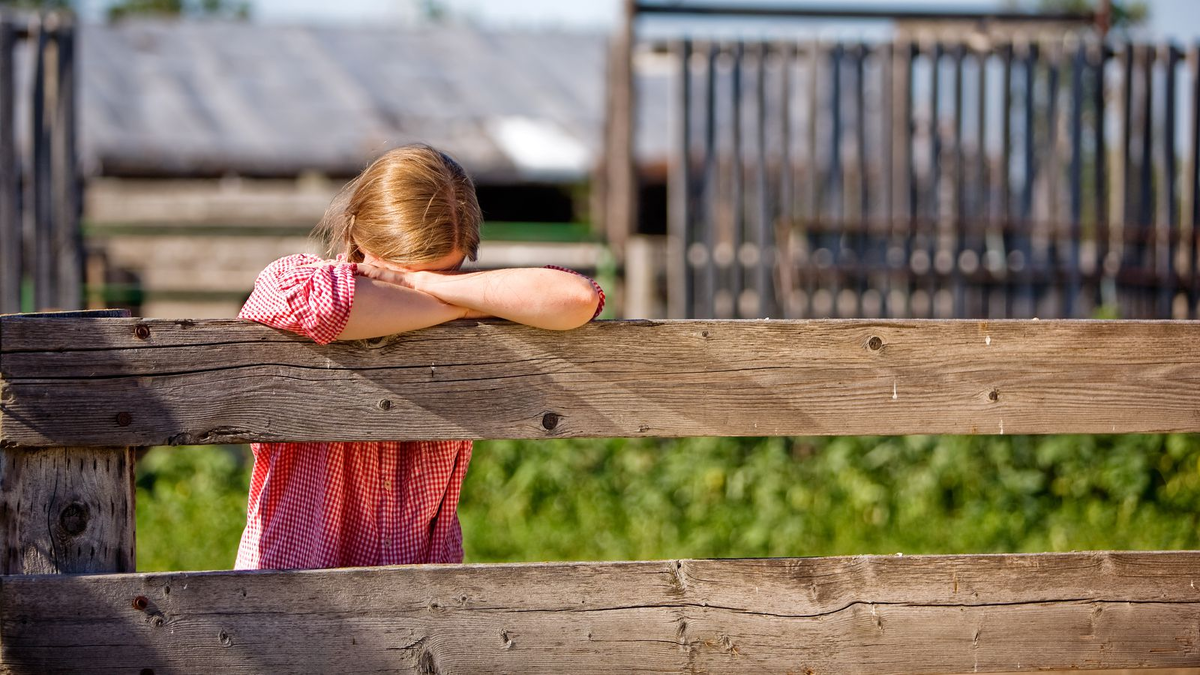 заборы для дачи от животных. жизнь под забором. друзья всегда помогут. образ жизни забор. прикольные картинки.