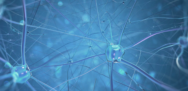 Фото: DATA-flow-NEURONS. 