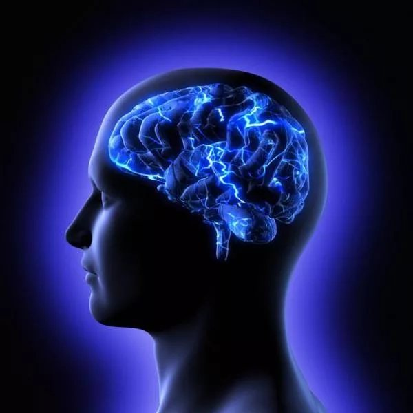 Взято из открытого доступа