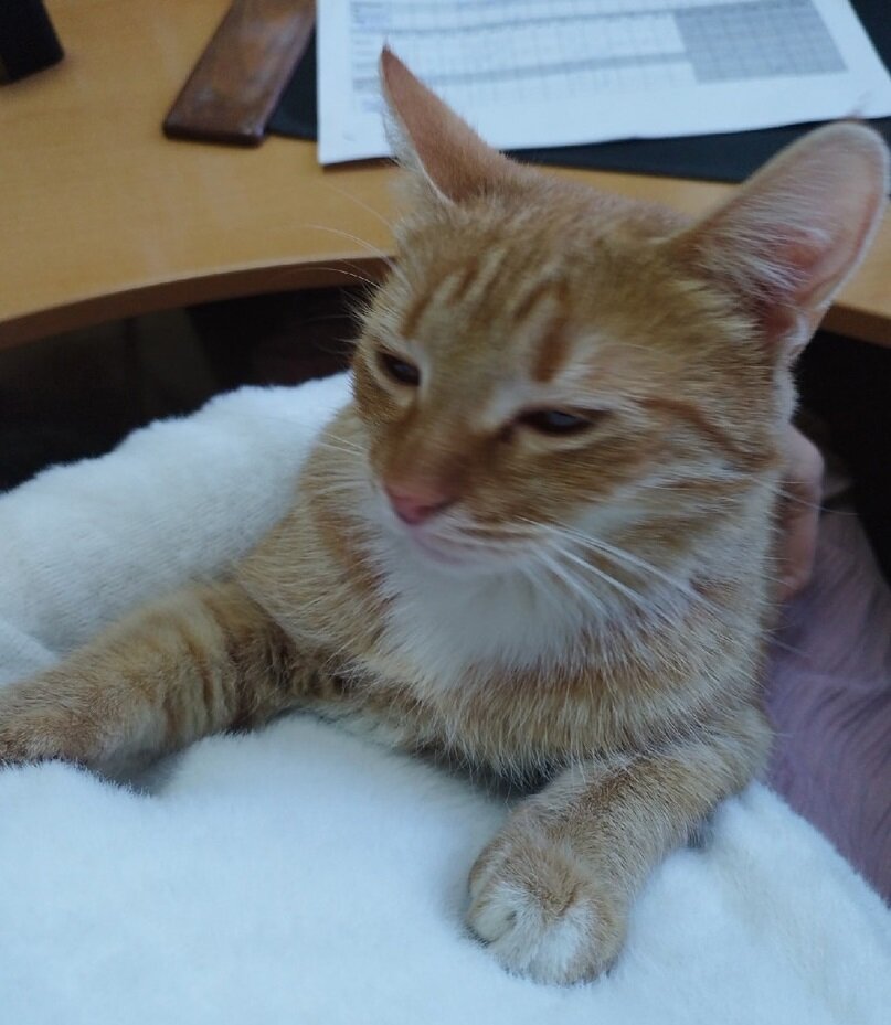 И в офисе хорошо