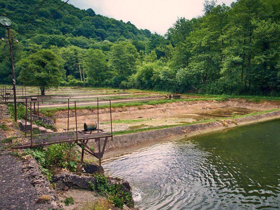  Поля рыбы ))