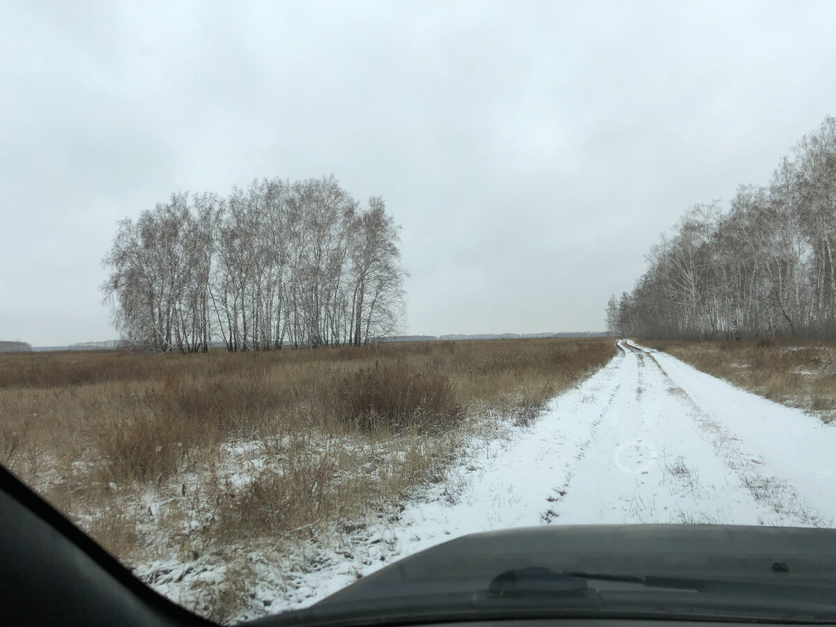 Робкий снег   Фото автора