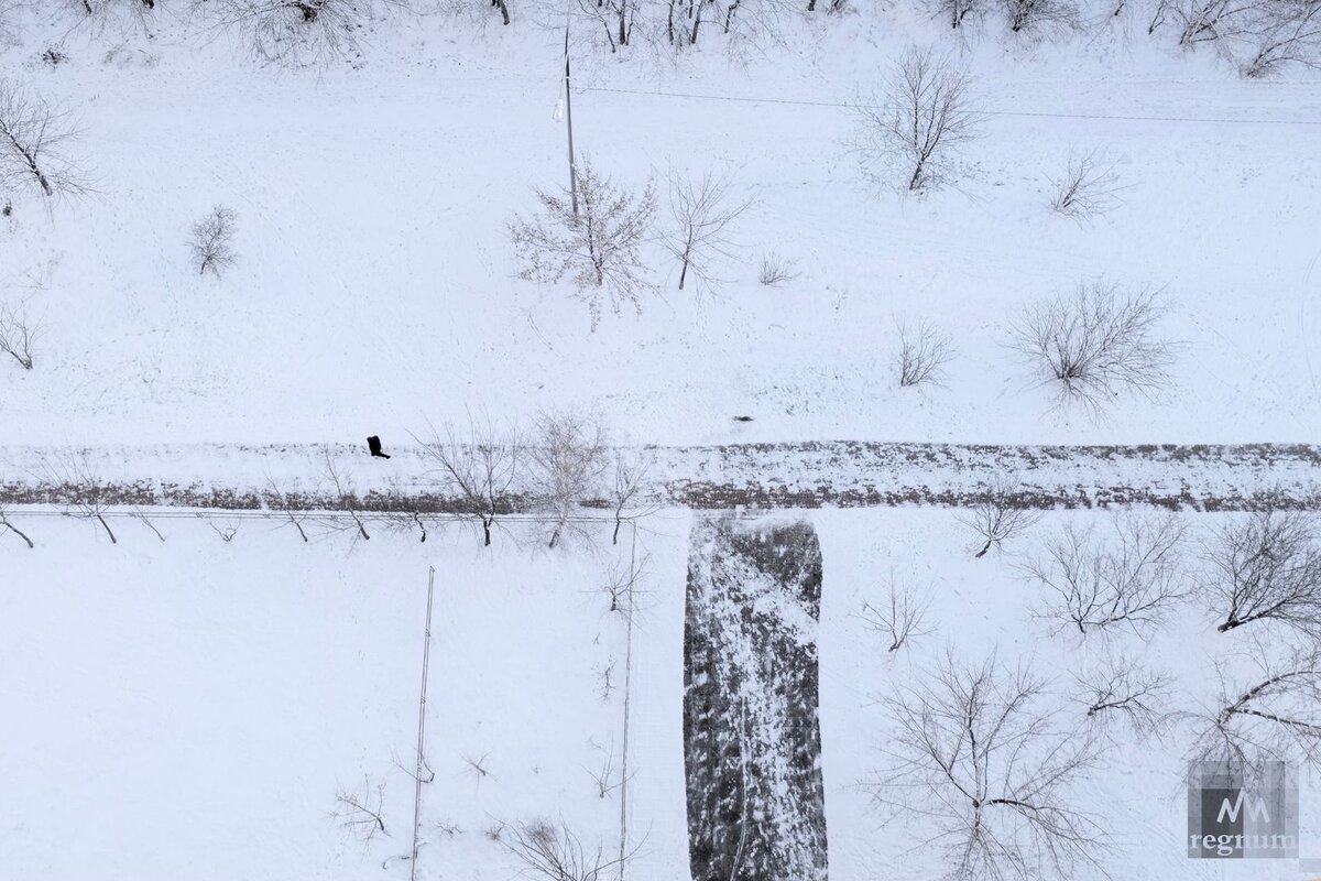 в москве выпал снег сегодня