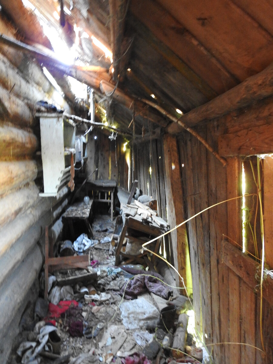 Прохудившиеся и захламленные сени