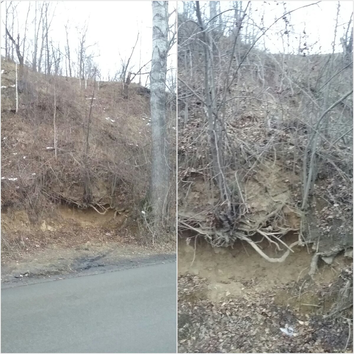 Склон холма кто-то периодически копает: то ли дети, то ли туристы...