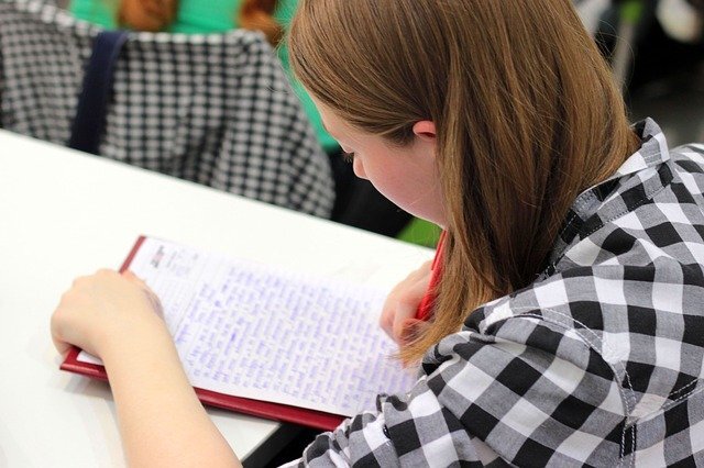    Однако некоторые нижегородцы считают, что дети и педагоги и так уже сильно перегружены Мария Материкова
