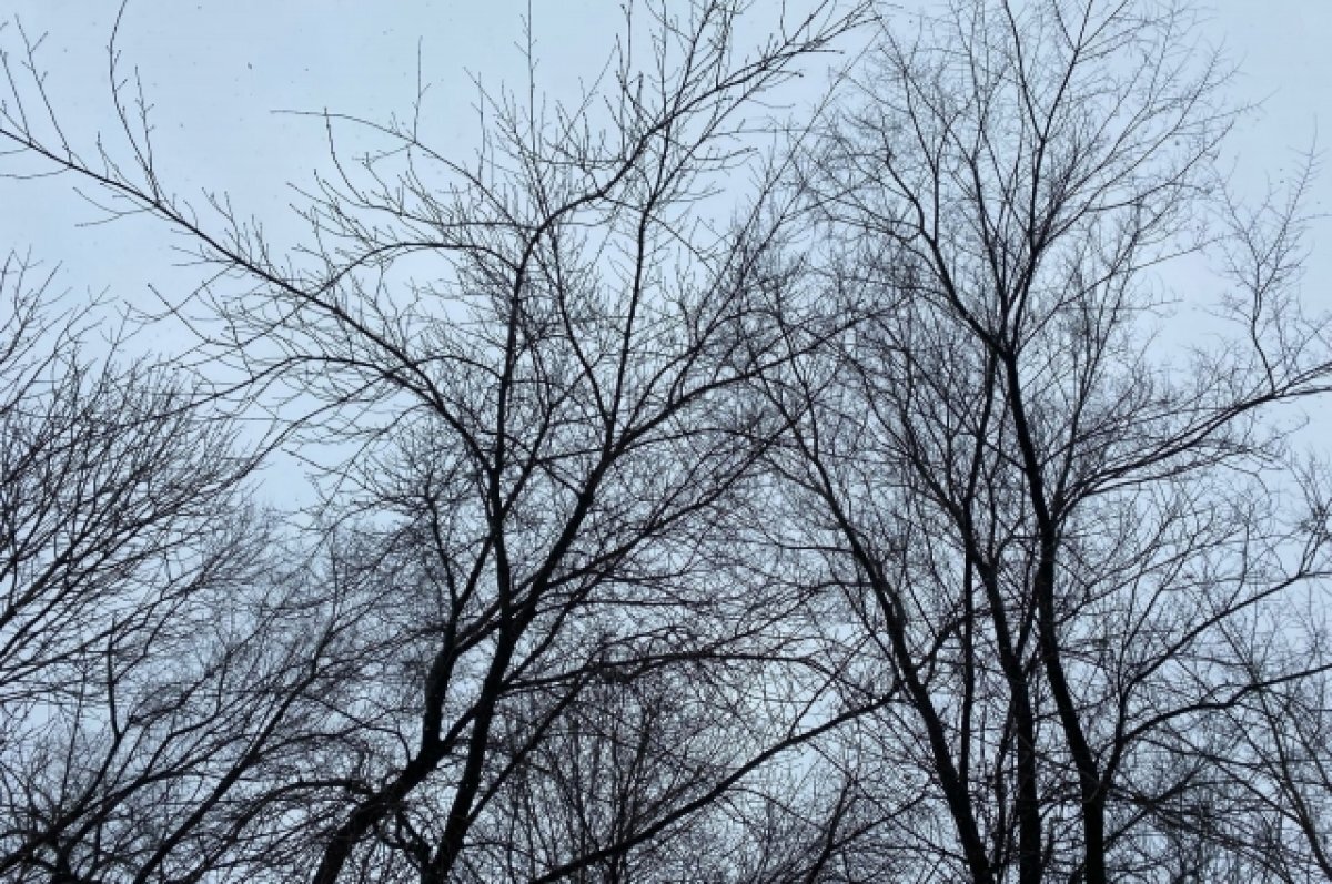    В Томской области 4 декабря ожидаются морозы до -20 градусов