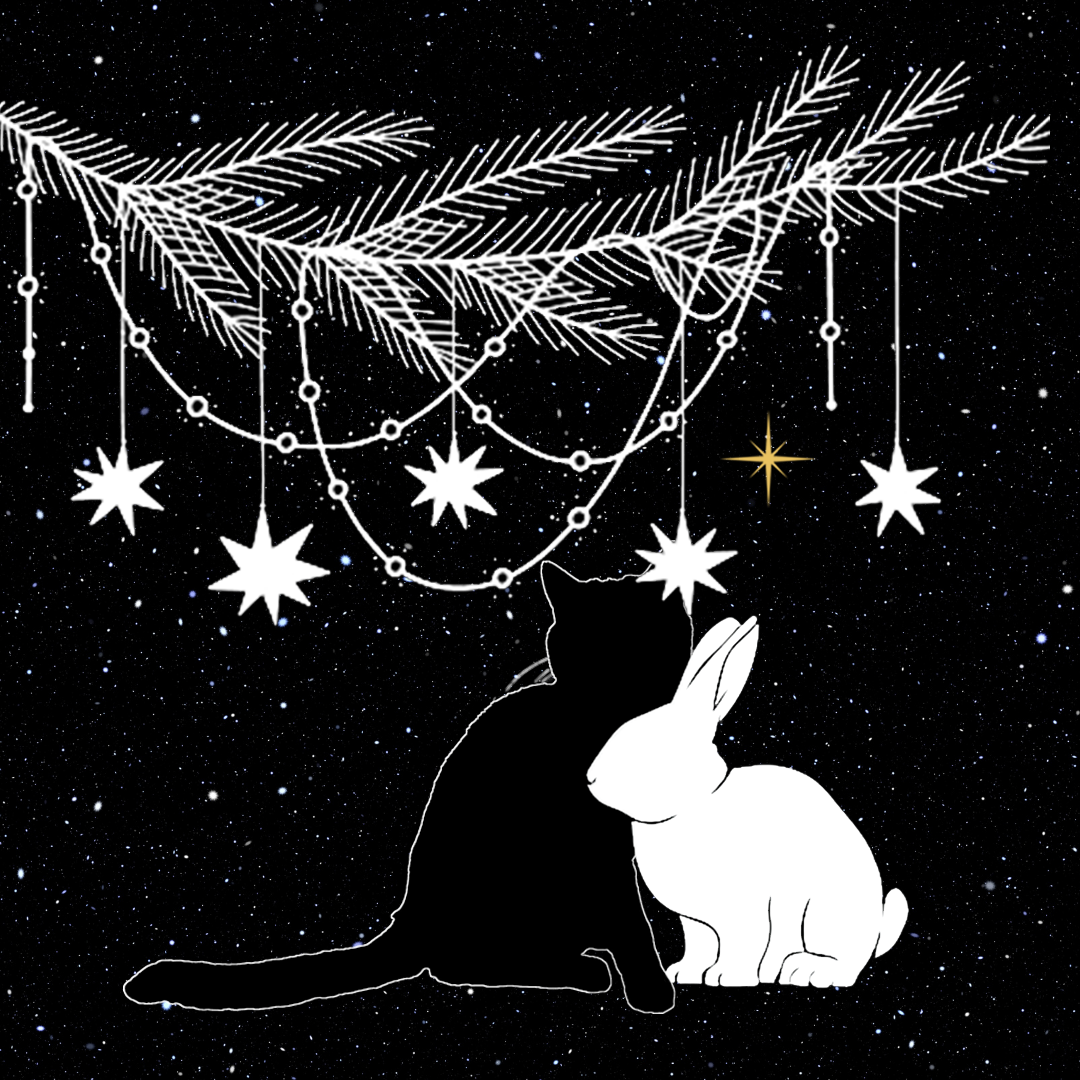 Астрокотик и Астрокролик.