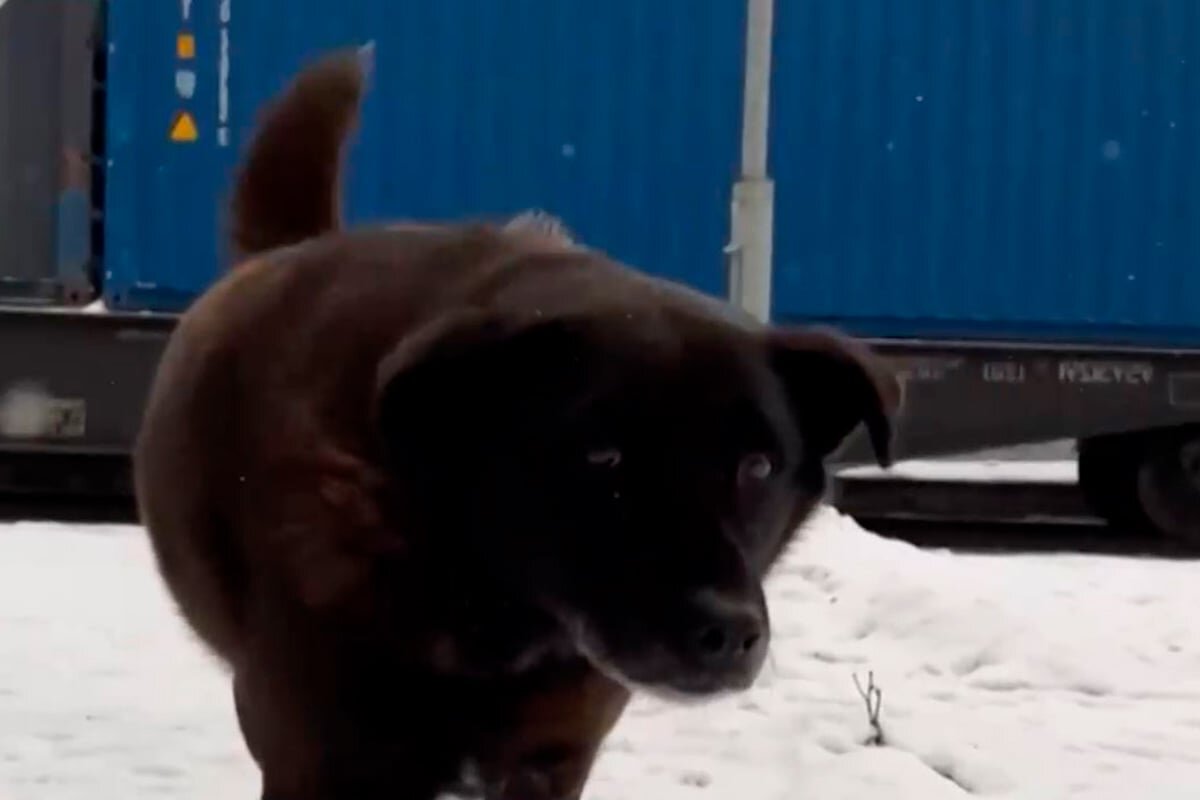    Фото: МТРК "МИР"