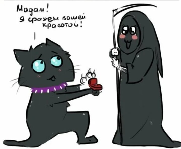 Мемы кв. Бич коты Воители смешные. Коты Воители Бич приколы. Коты Воители приколы. Коты Воители мемы