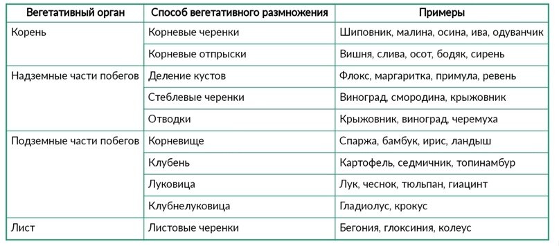 Методы воспитания бабанского таблица фото - PwCalc.ru