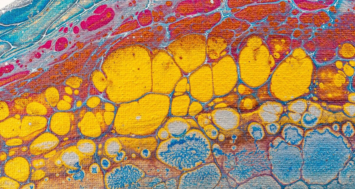     Особый тип белка эффективно сжигает жир у мышей — и может аналогично действовать на человека