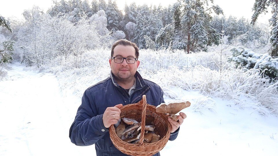     Нижегородец собрал целую корзинку грибов в декабре. Фото: Александр Парфенов.