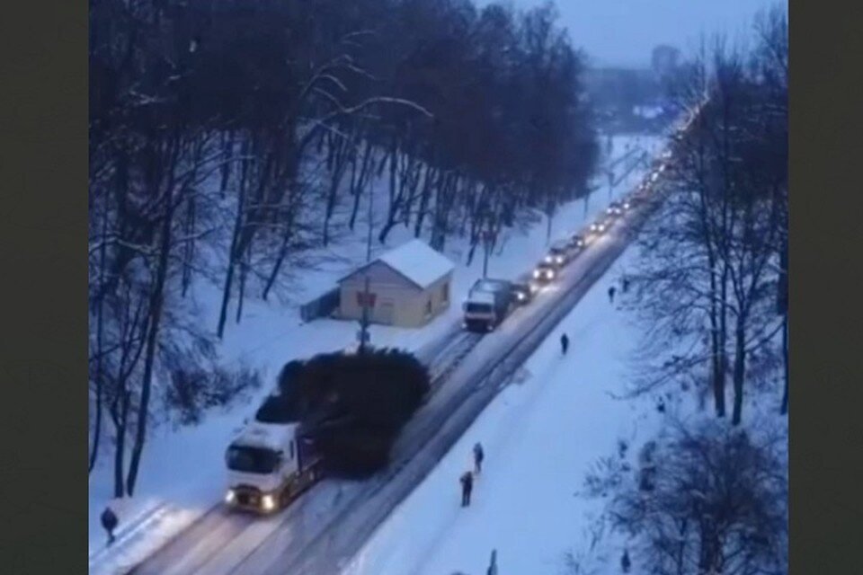     В Новополоцке новогодняя елка собрала в городе пробку. Фото: стоп-кадр | видео телеграм-канал "Минская правда" | MLYN.by