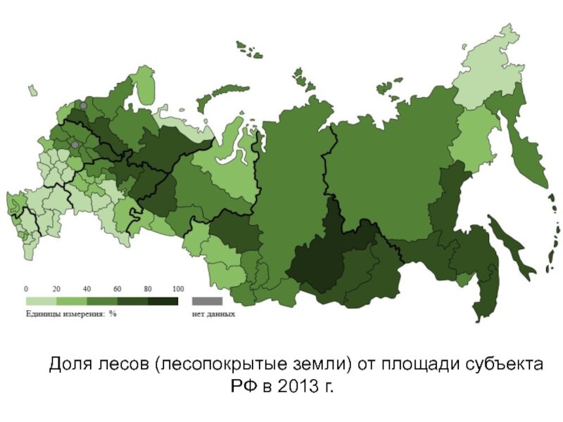 Карта лесов в мире