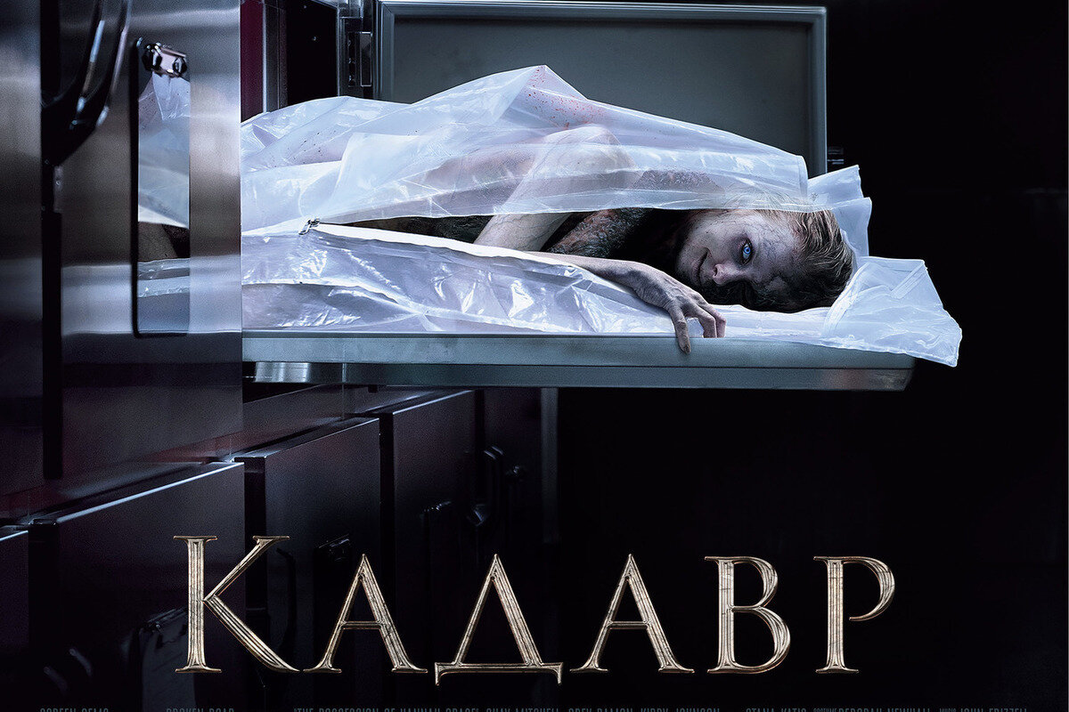 Источник: МК.ру