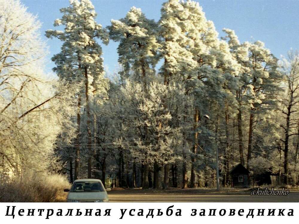 (Плёнка)
