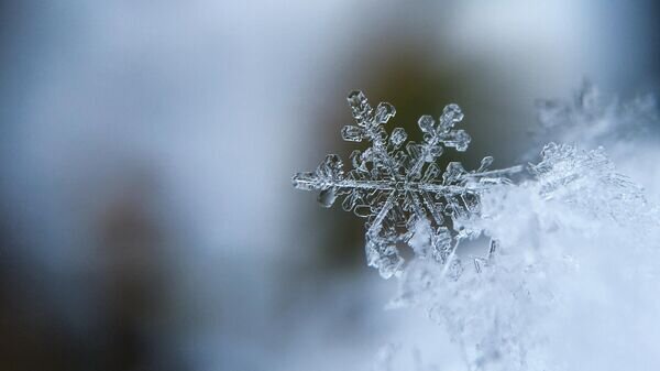   © Photo : Unsplash / Aaron Burden