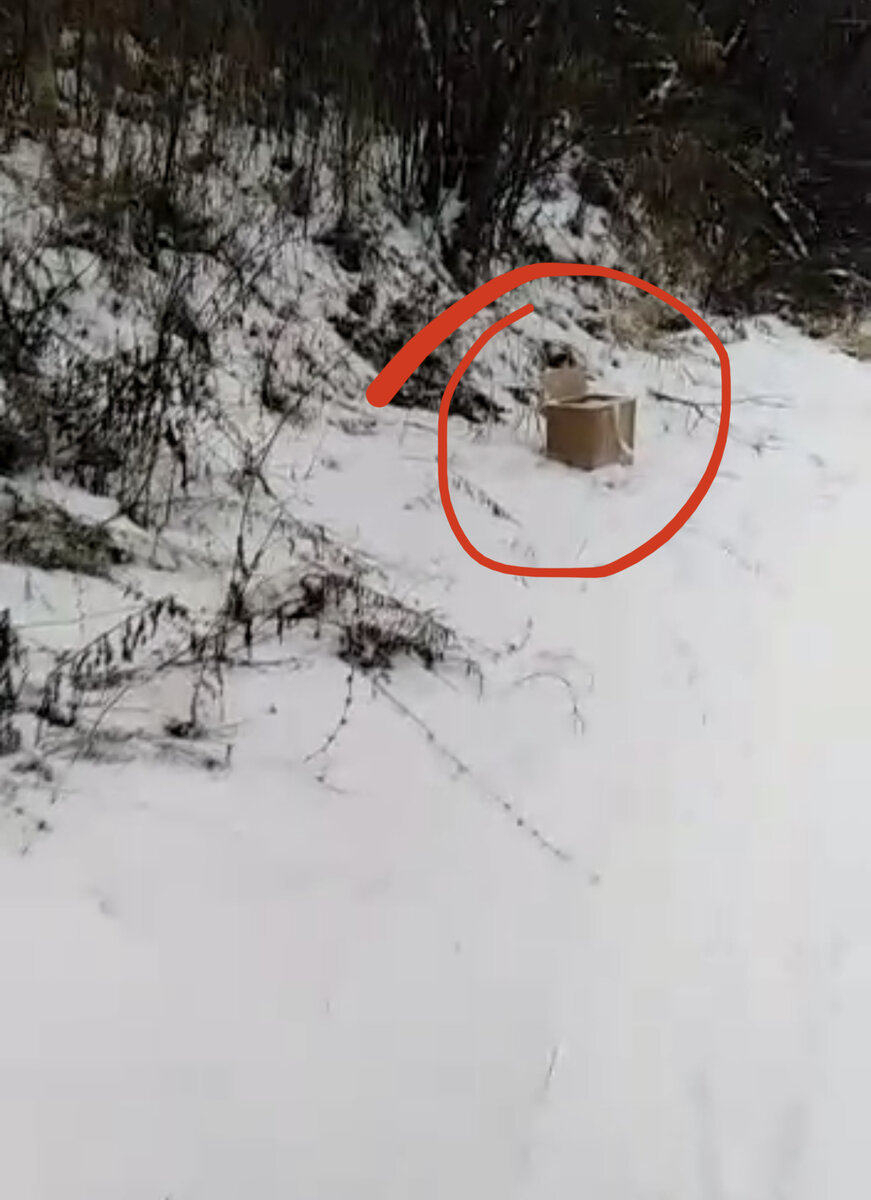 Та самая коробка 