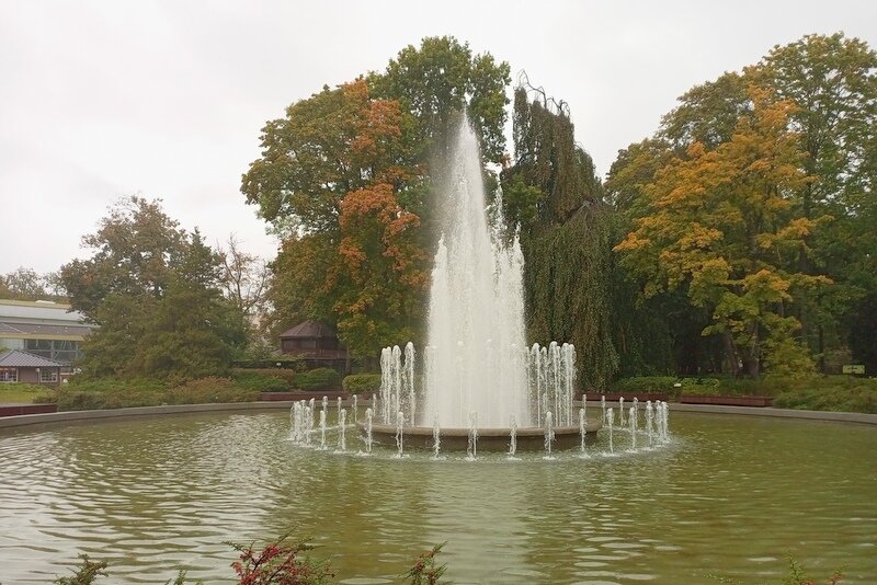 Калининградский зоопарк. Фото моё