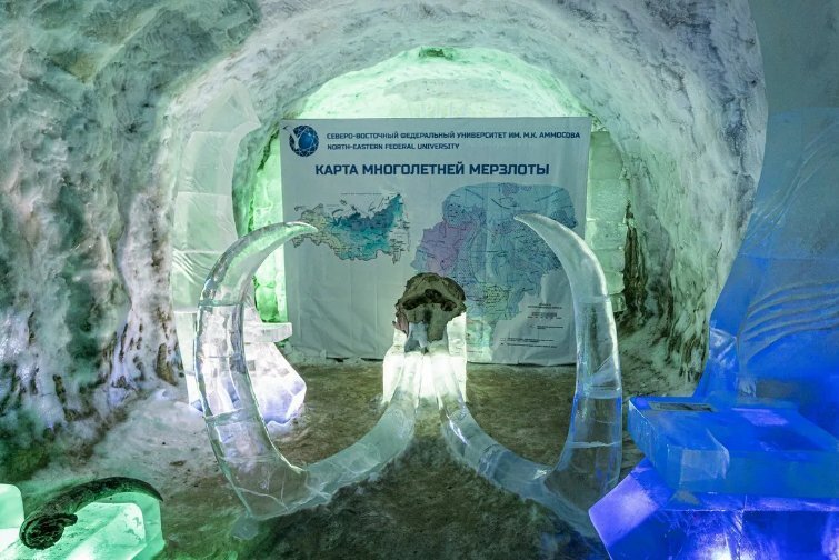 Чертеж воспоминания дерева вечной мерзлоты
