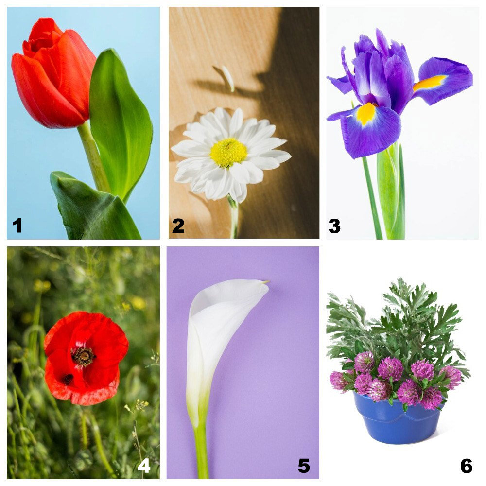 Фото с freepik.com