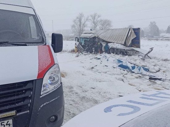     Фото: УГИБДД по НСО