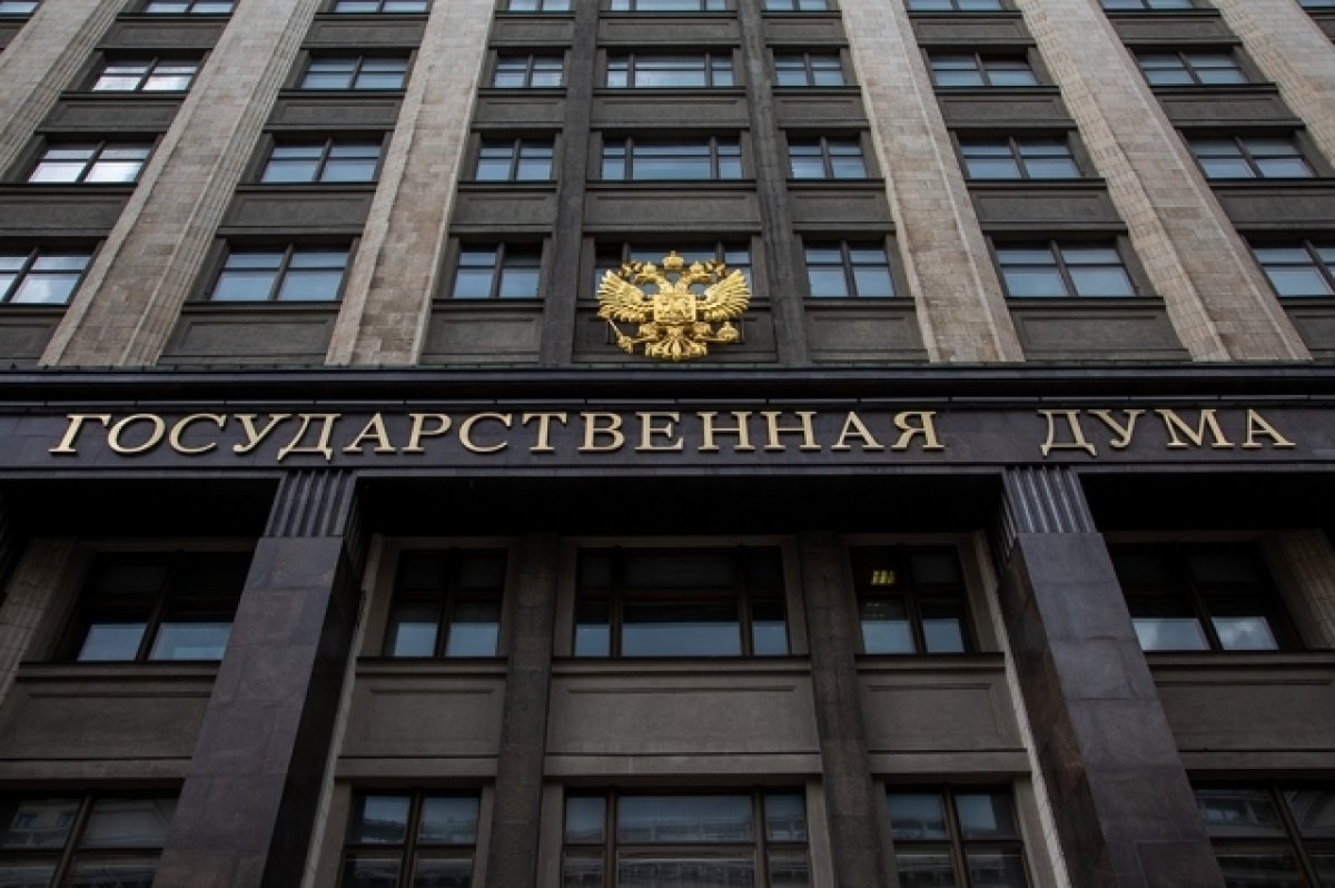    Госдума в I чтении одобрила законопроект о защите русского языка