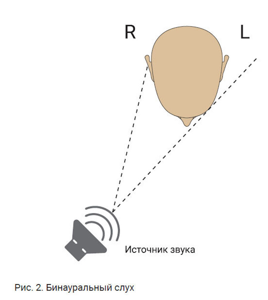    Как работает бинауральный слух у человека: многие звуки приходят к ушам с разной громкостью и фазой (различием во времени). Благодаря этой разнице человек может определить, с какой стороны находится источник звукаsurdoinfo.ru