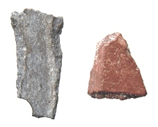 Найдены где-то на дорогах Табачной и Осиновой полян