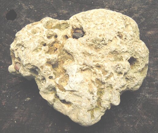 В галечнике Фарса у Новосвободной, к востоку от северной переправы. 2022 г.