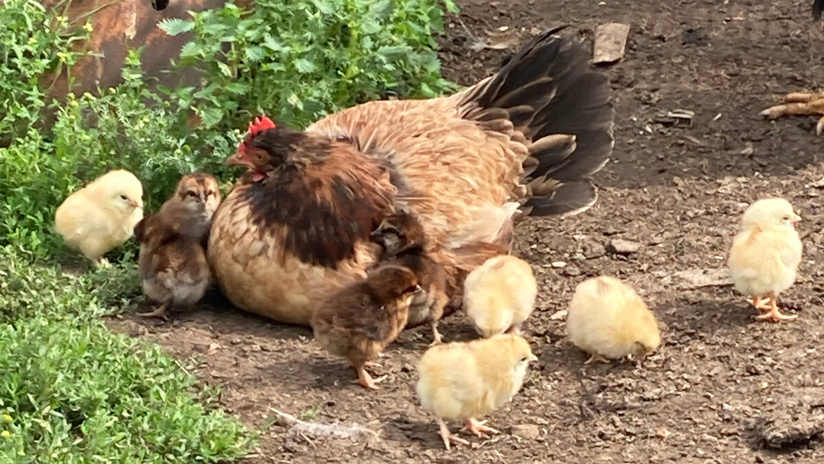 Фото из личного архива