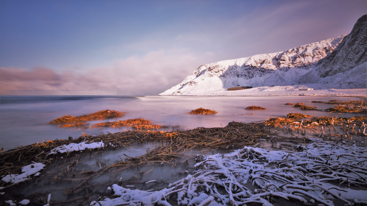 Гренландия