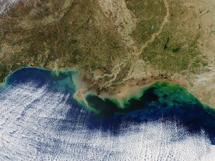 Виноват человек!!Мёртвые зоны мирового океана. Как остановить вымирание ...