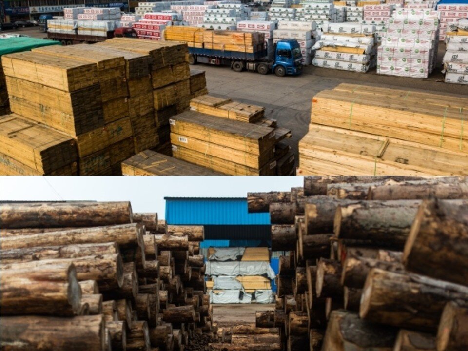     Фото: Гусейнов Виктор