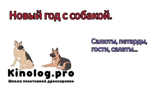 Как спокойно пережить Новый год если у вас есть собака. Салюты, петарды, гости, салаты...