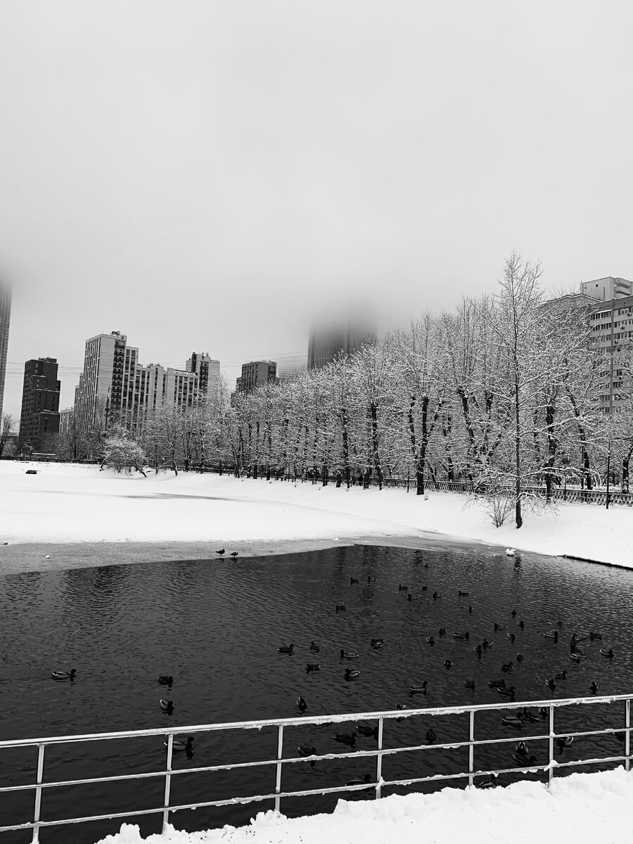 Все права на фото и рассказ принадлежат автору. Запрещается копирование, распространение или любое иное использование информации и объектов авторского права без предварительного согласия правообладателя.