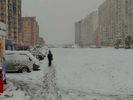     Елена Балуева / МК в Новосибирске