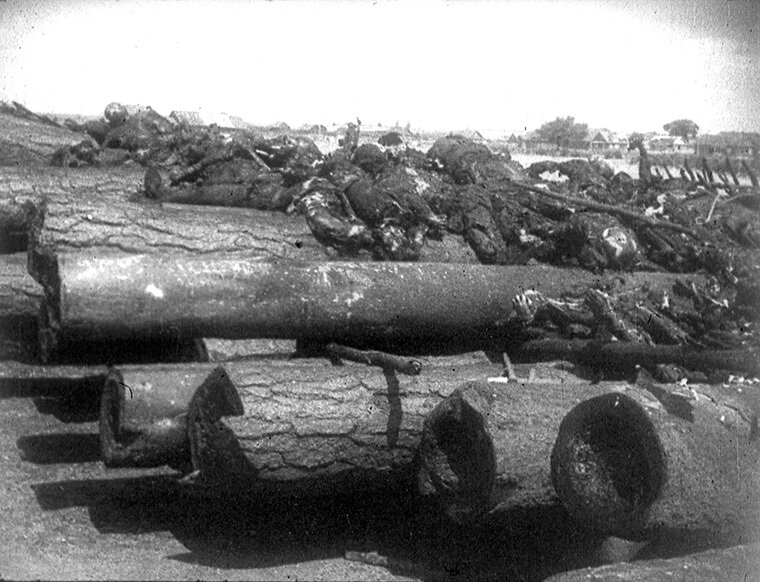 с яндекс фото лагерь «Тростенец»