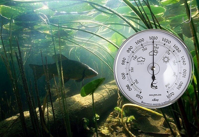 Таблица атмосферного давления для рыбалки. Таблица давления ловли рыбы зимой. Атмосферное давление для рыбы. Нормальное атмосферное давление для ловли рыбы. Какое давление для рыбы.