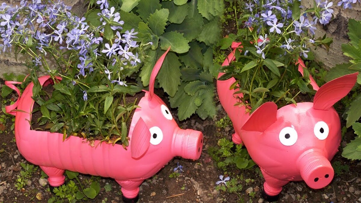 Милые поросята. Источник фото-сайт: https://clck.ru/VqyFP.