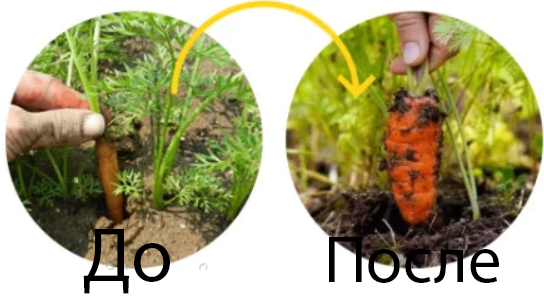 Результат до и после