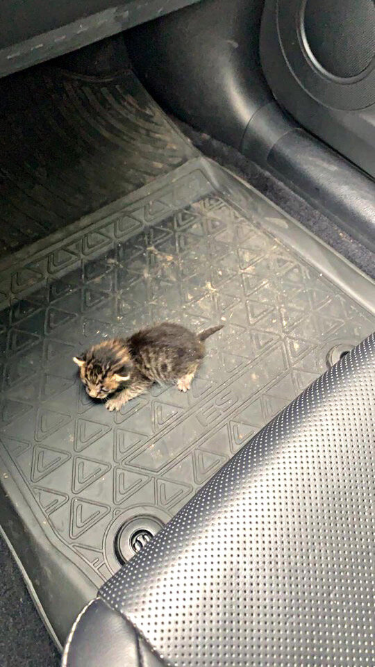 В тот день у Курской помойки остановилась машина. Из нее вышел мужчина с мусорным пакетом.