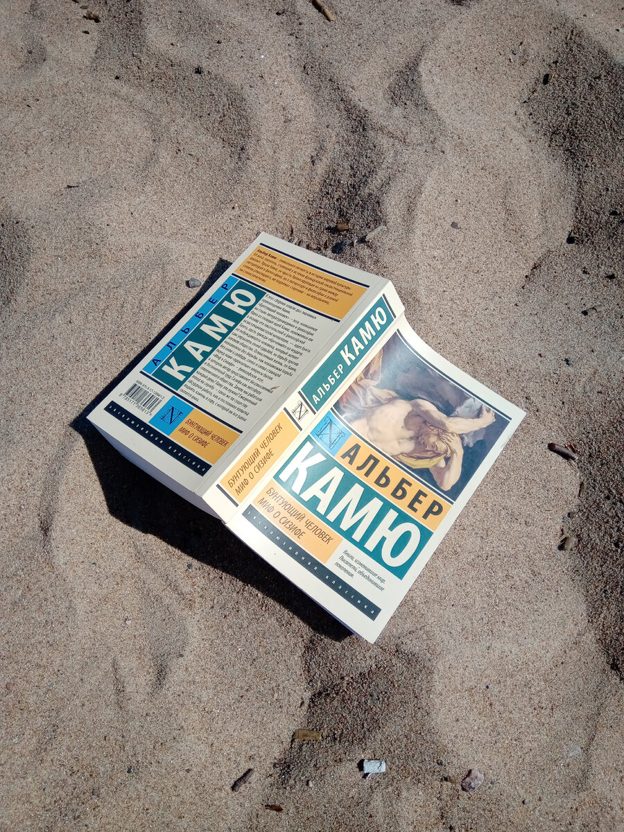 Фото сделано на пляже Финского залива недалеко от СПб.